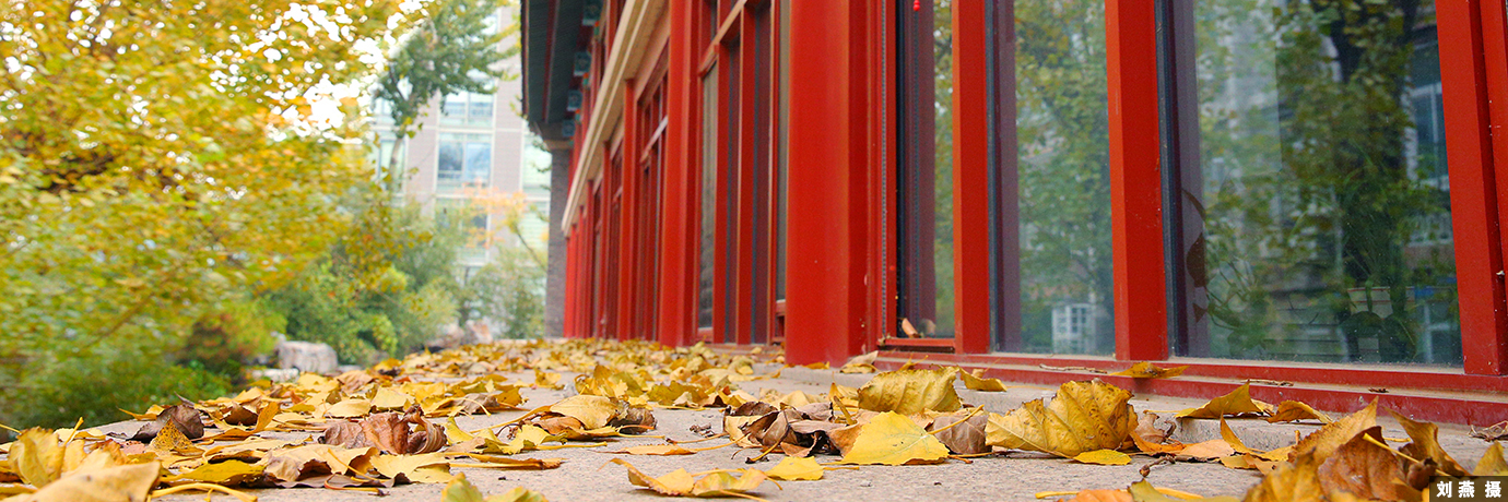 中国·BB贝博艾弗森(股份)有限公司-官方网站