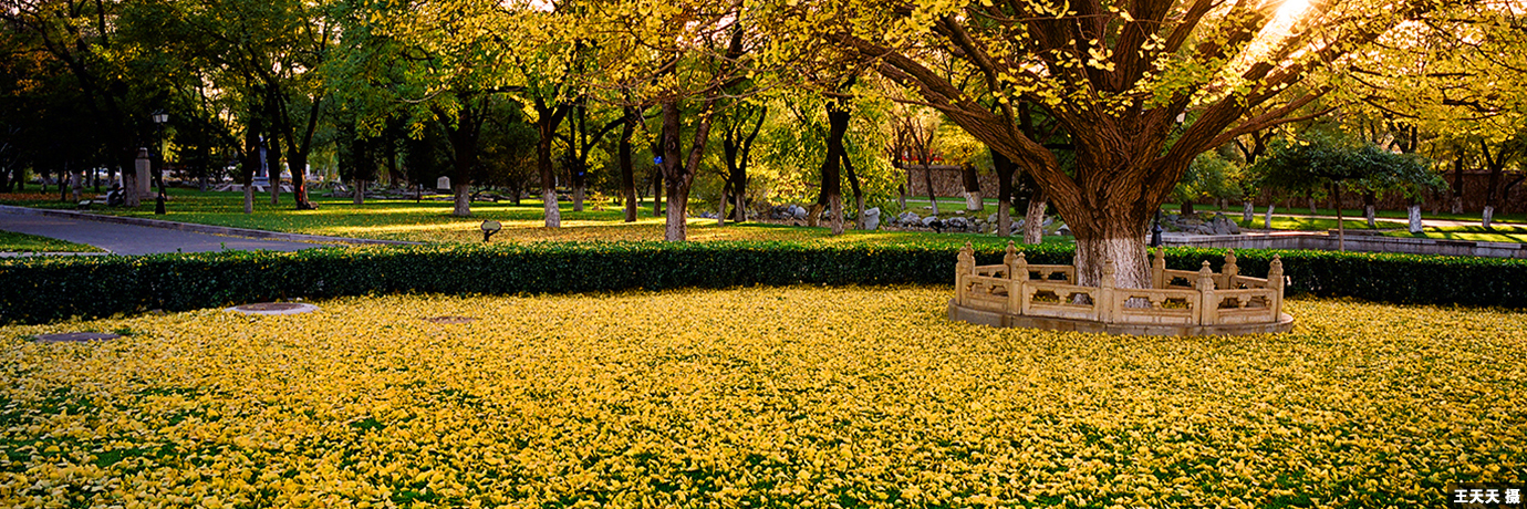 中国·BB贝博艾弗森(股份)有限公司-官方网站