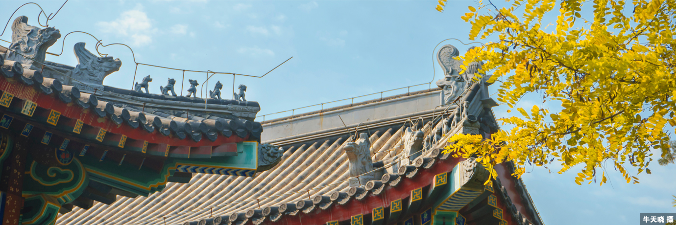 中国·BB贝博艾弗森(股份)有限公司-官方网站