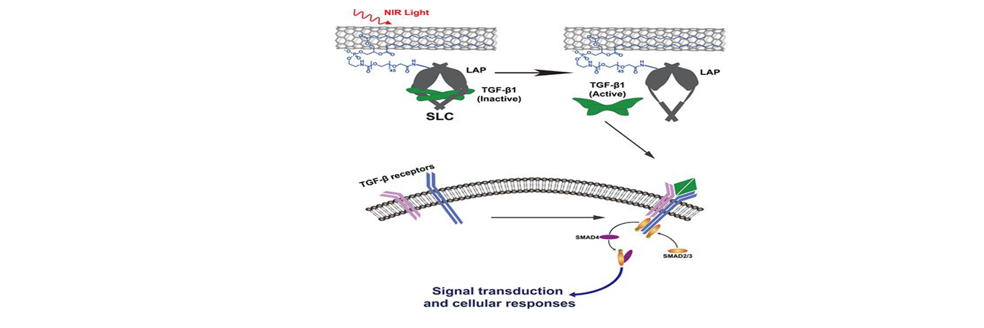 中国·BB贝博艾弗森(股份)有限公司-官方网站