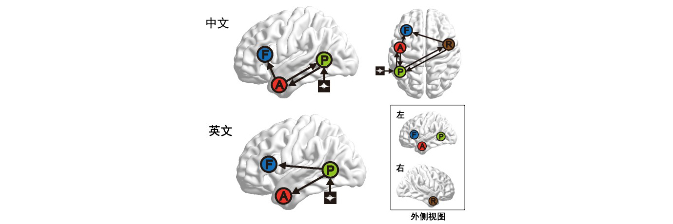 中国·BB贝博艾弗森(股份)有限公司-官方网站