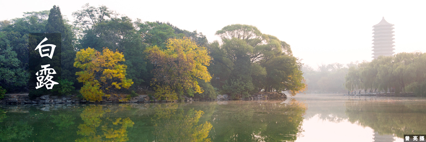 中国·BB贝博艾弗森(股份)有限公司-官方网站