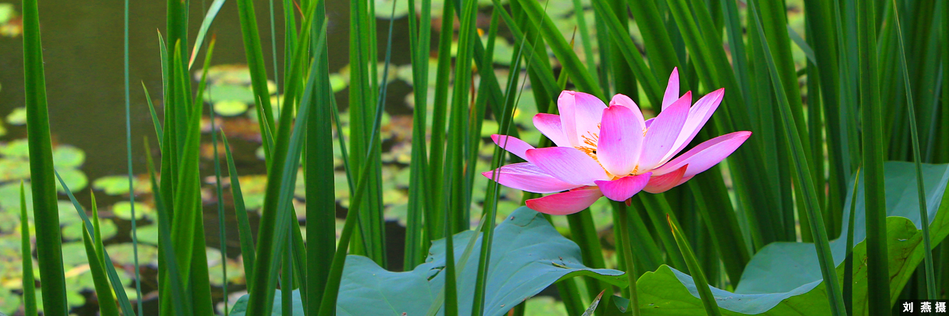 中国·BB贝博艾弗森(股份)有限公司-官方网站