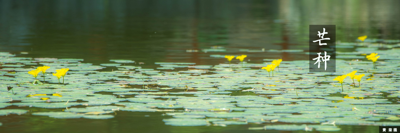 中国·BB贝博艾弗森(股份)有限公司-官方网站