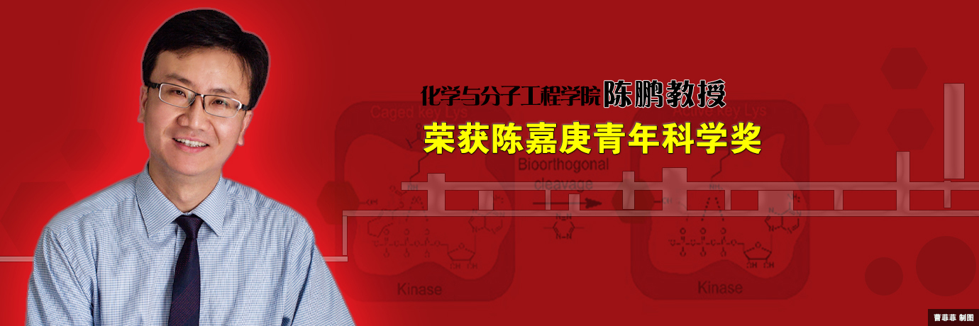 中国·BB贝博艾弗森(股份)有限公司-官方网站