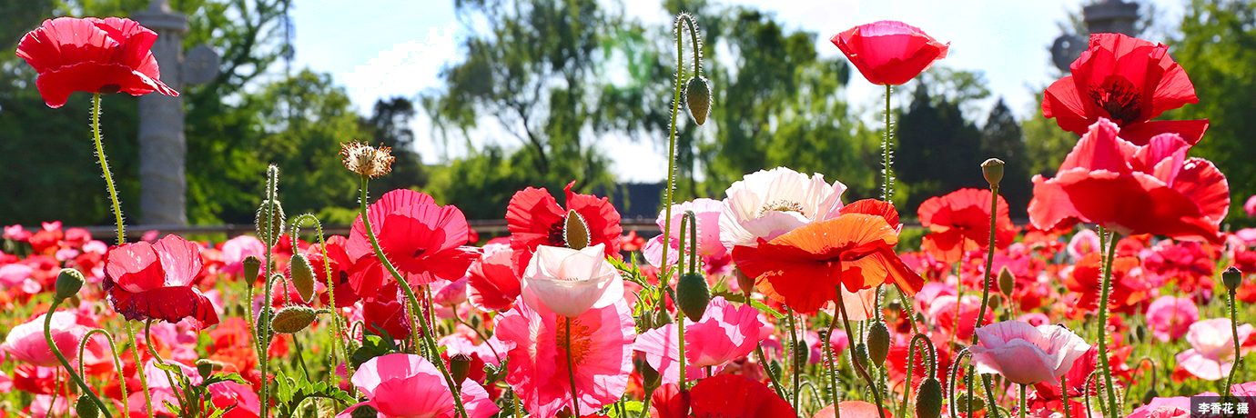 中国·BB贝博艾弗森(股份)有限公司-官方网站