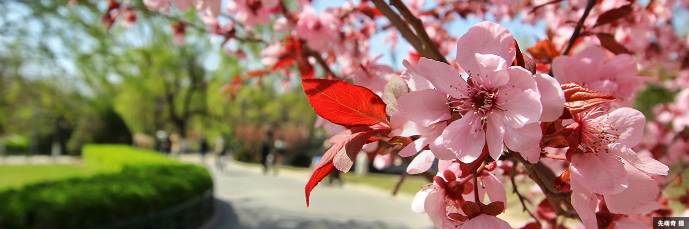 中国·BB贝博艾弗森(股份)有限公司-官方网站