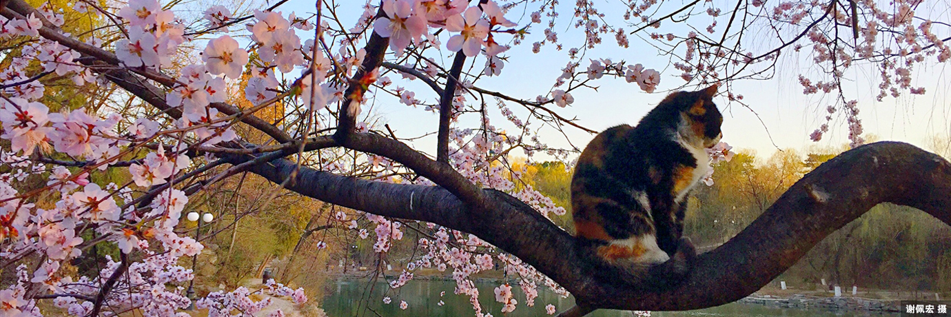 中国·BB贝博艾弗森(股份)有限公司-官方网站