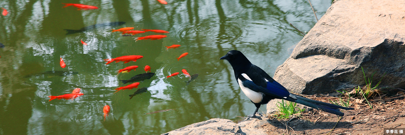 中国·BB贝博艾弗森(股份)有限公司-官方网站