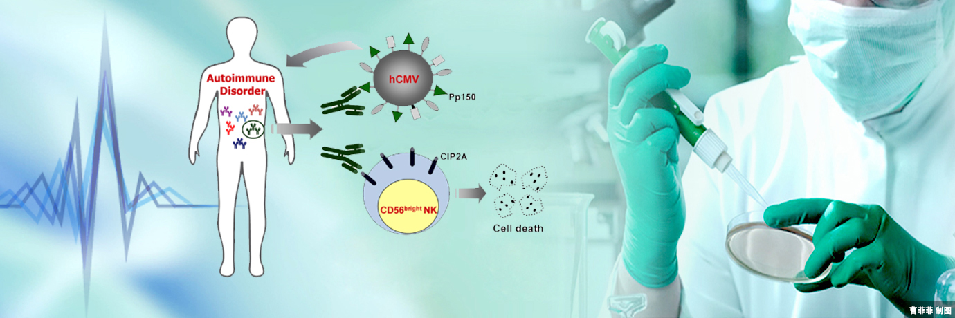 中国·BB贝博艾弗森(股份)有限公司-官方网站