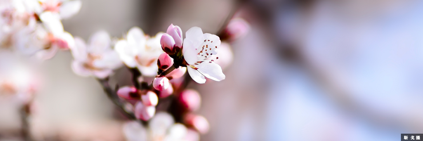 中国·BB贝博艾弗森(股份)有限公司-官方网站