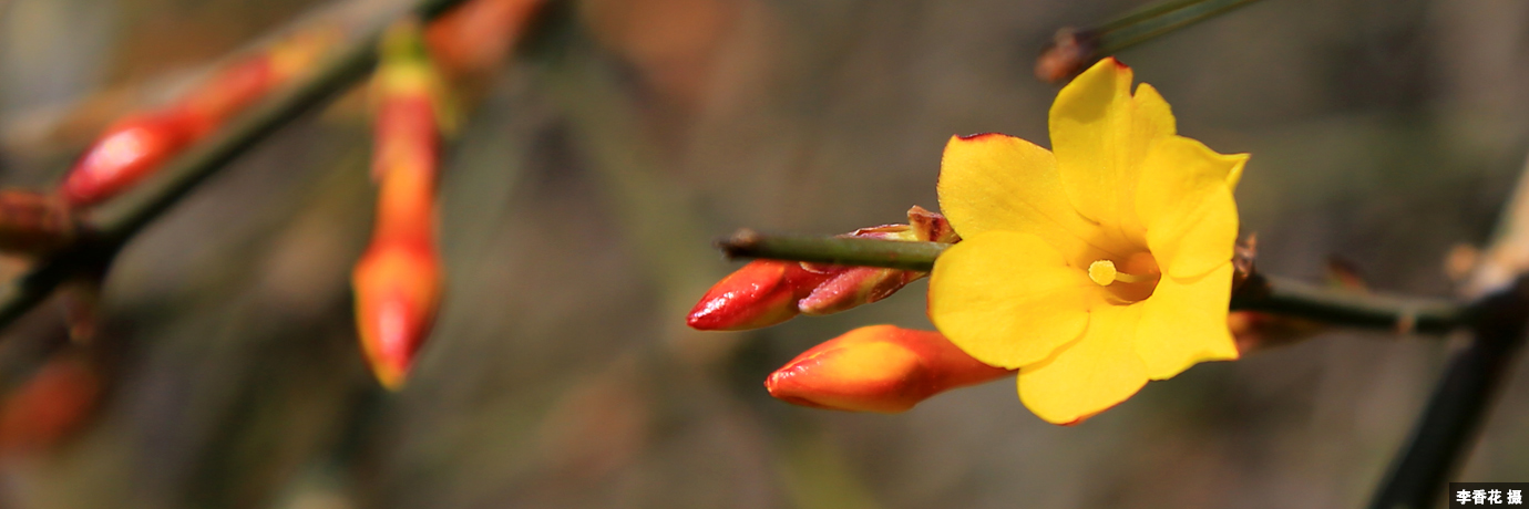 中国·BB贝博艾弗森(股份)有限公司-官方网站