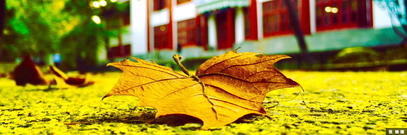 中国·BB贝博艾弗森(股份)有限公司-官方网站