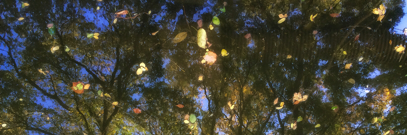 中国·BB贝博艾弗森(股份)有限公司-官方网站