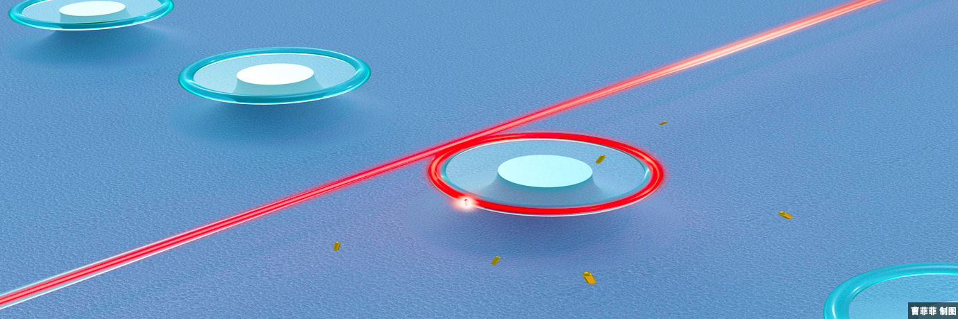 中国·BB贝博艾弗森(股份)有限公司-官方网站