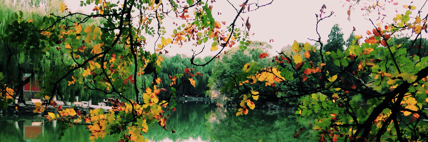 中国·BB贝博艾弗森(股份)有限公司-官方网站