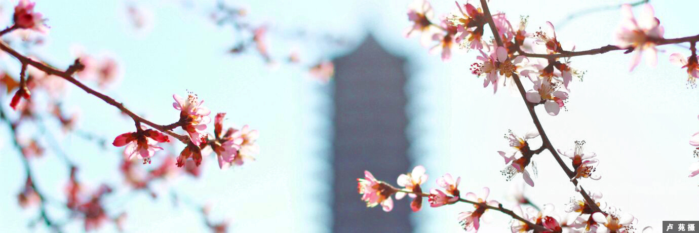 中国·BB贝博艾弗森(股份)有限公司-官方网站