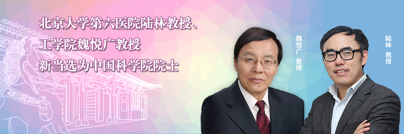 中国·BB贝博艾弗森(股份)有限公司-官方网站