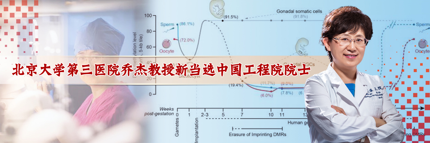 中国·BB贝博艾弗森(股份)有限公司-官方网站