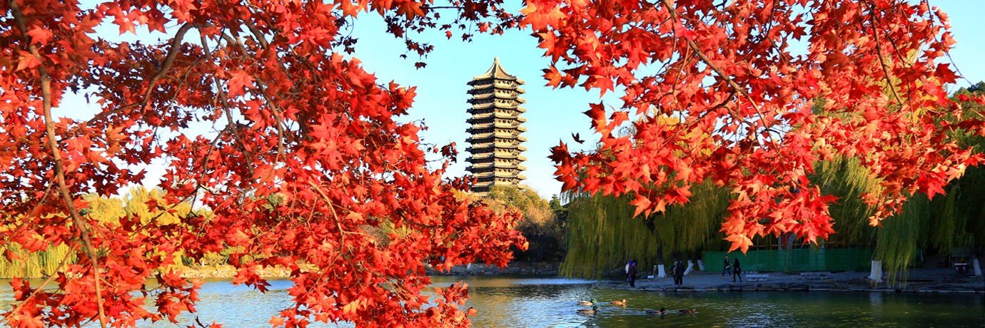 中国·BB贝博艾弗森(股份)有限公司-官方网站