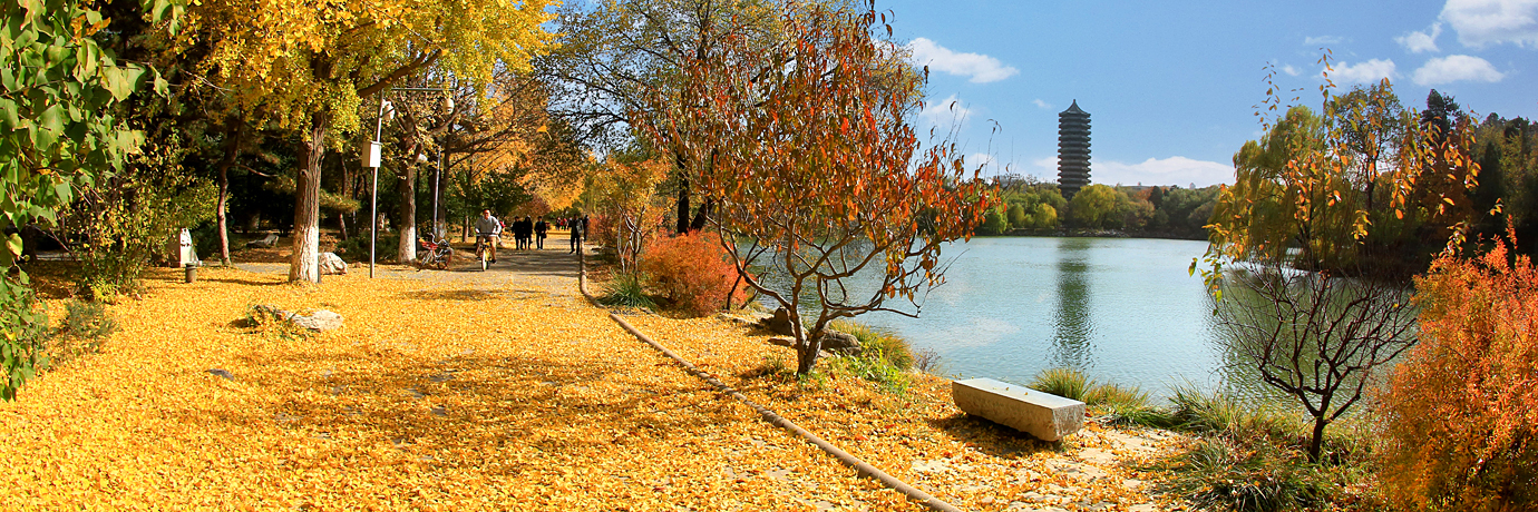 中国·BB贝博艾弗森(股份)有限公司-官方网站