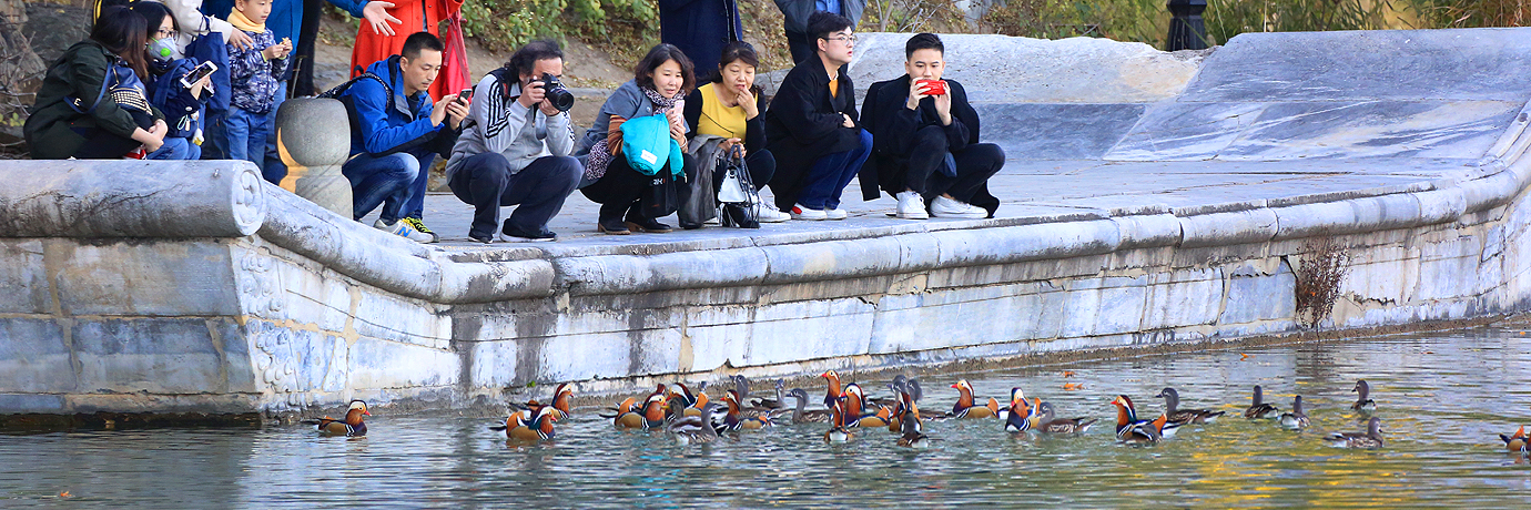 中国·BB贝博艾弗森(股份)有限公司-官方网站