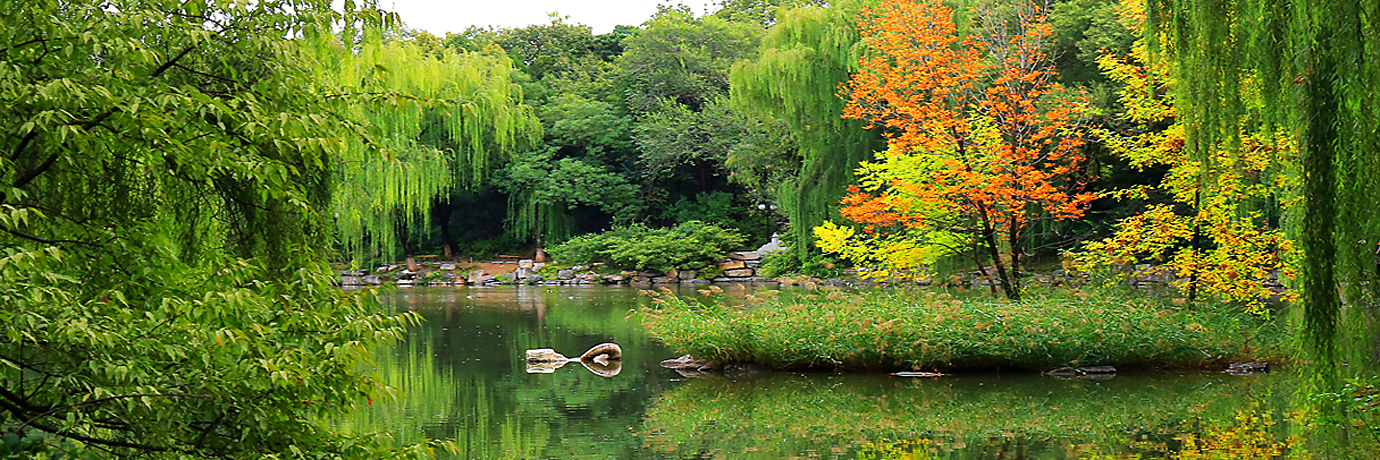 中国·BB贝博艾弗森(股份)有限公司-官方网站