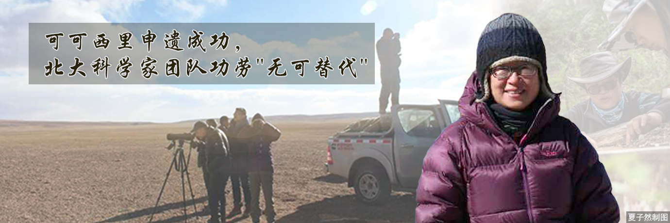 中国·BB贝博艾弗森(股份)有限公司-官方网站