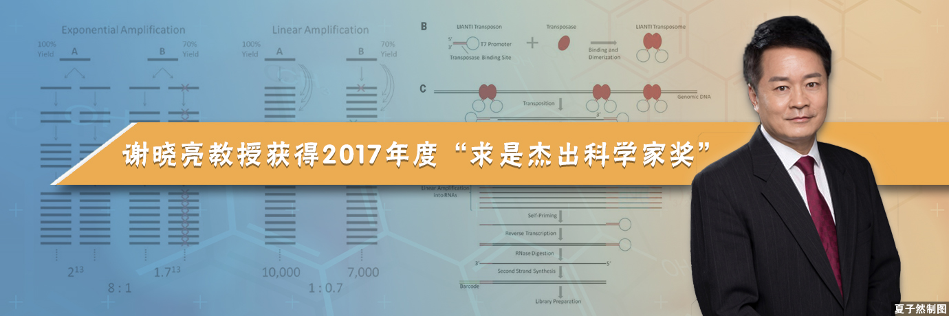 中国·BB贝博艾弗森(股份)有限公司-官方网站