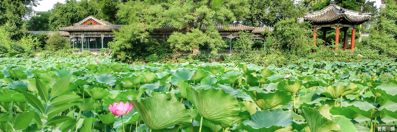 中国·BB贝博艾弗森(股份)有限公司-官方网站