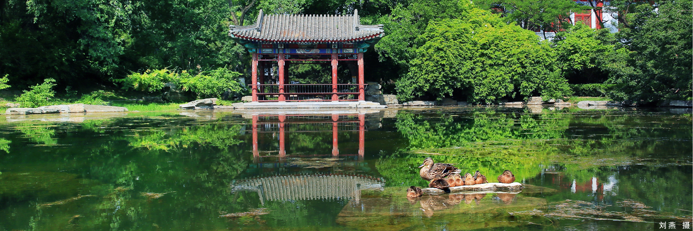 中国·BB贝博艾弗森(股份)有限公司-官方网站