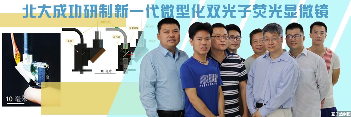 中国·BB贝博艾弗森(股份)有限公司-官方网站