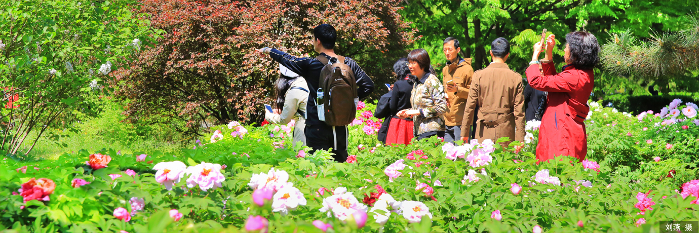 中国·BB贝博艾弗森(股份)有限公司-官方网站