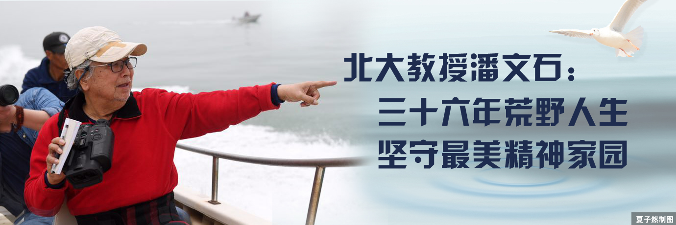 中国·BB贝博艾弗森(股份)有限公司-官方网站