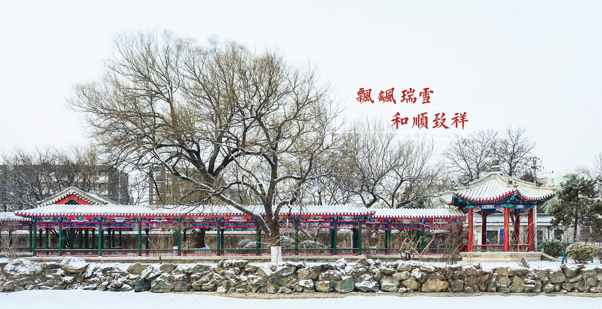 中国·BB贝博艾弗森(股份)有限公司-官方网站