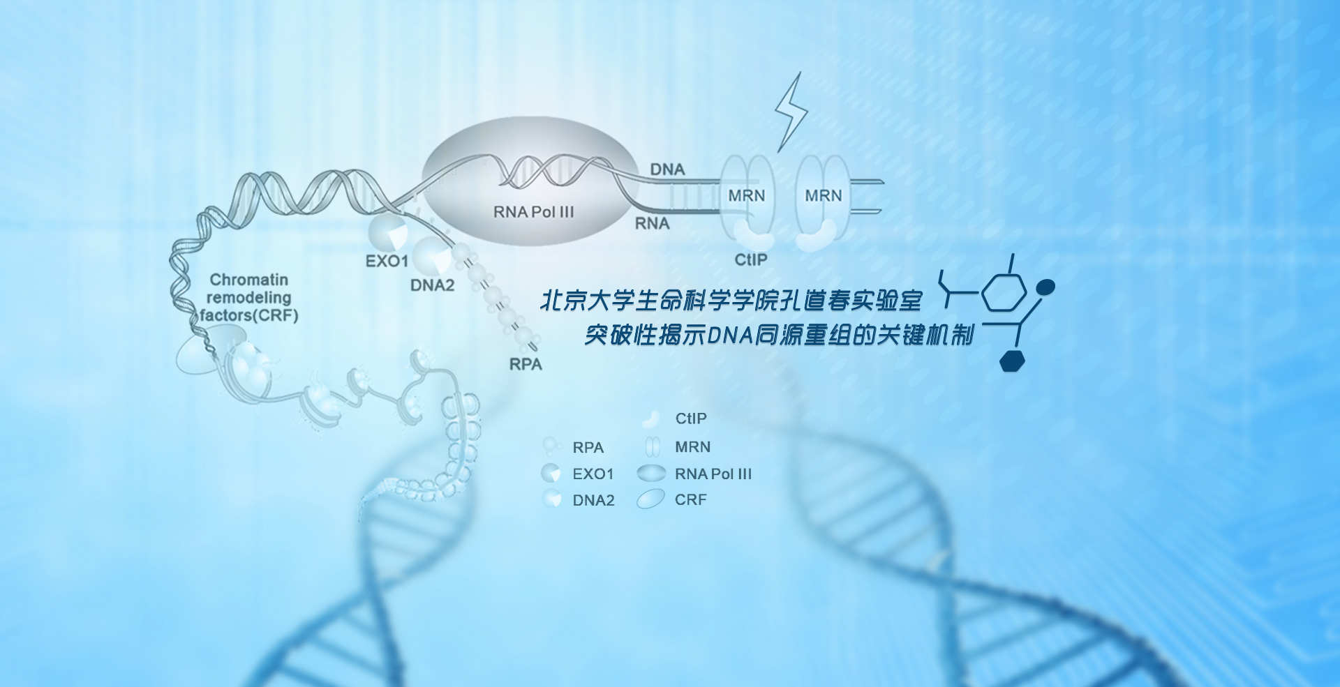 中国·BB贝博艾弗森(股份)有限公司-官方网站