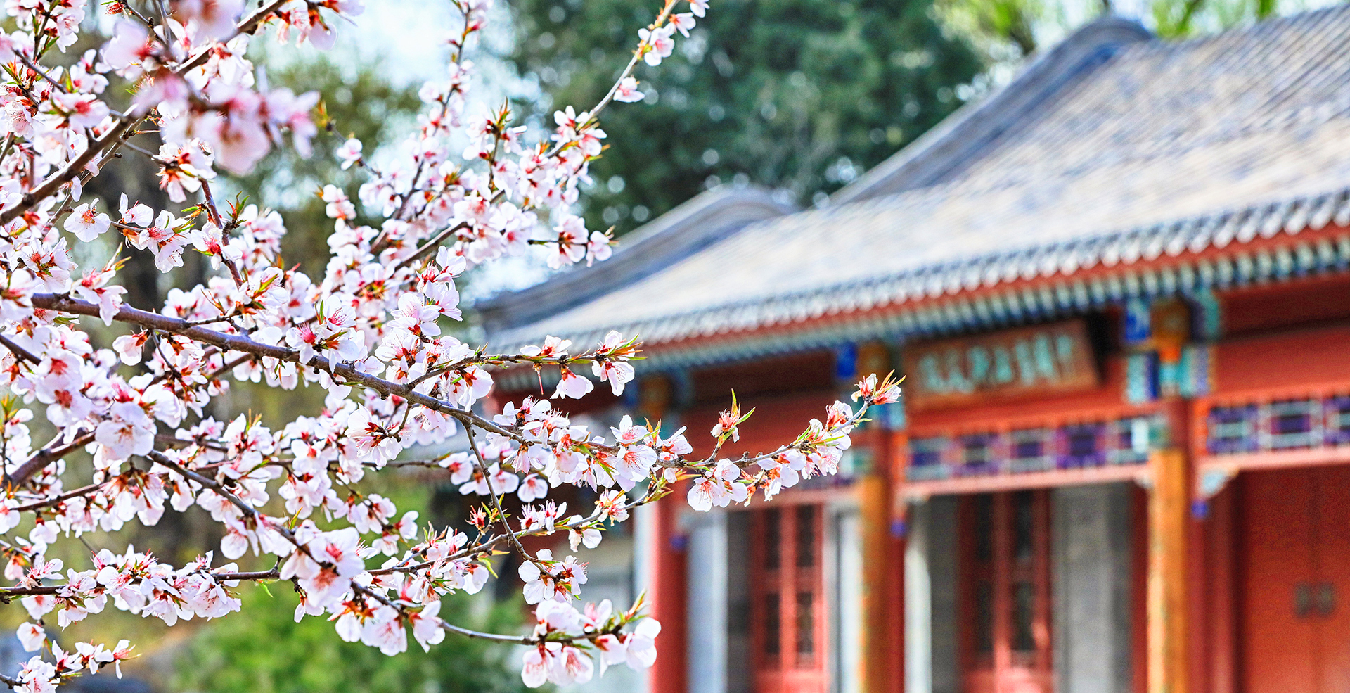 中国·BB贝博艾弗森(股份)有限公司-官方网站