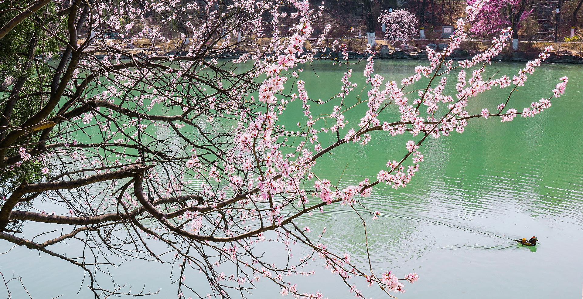 中国·BB贝博艾弗森(股份)有限公司-官方网站