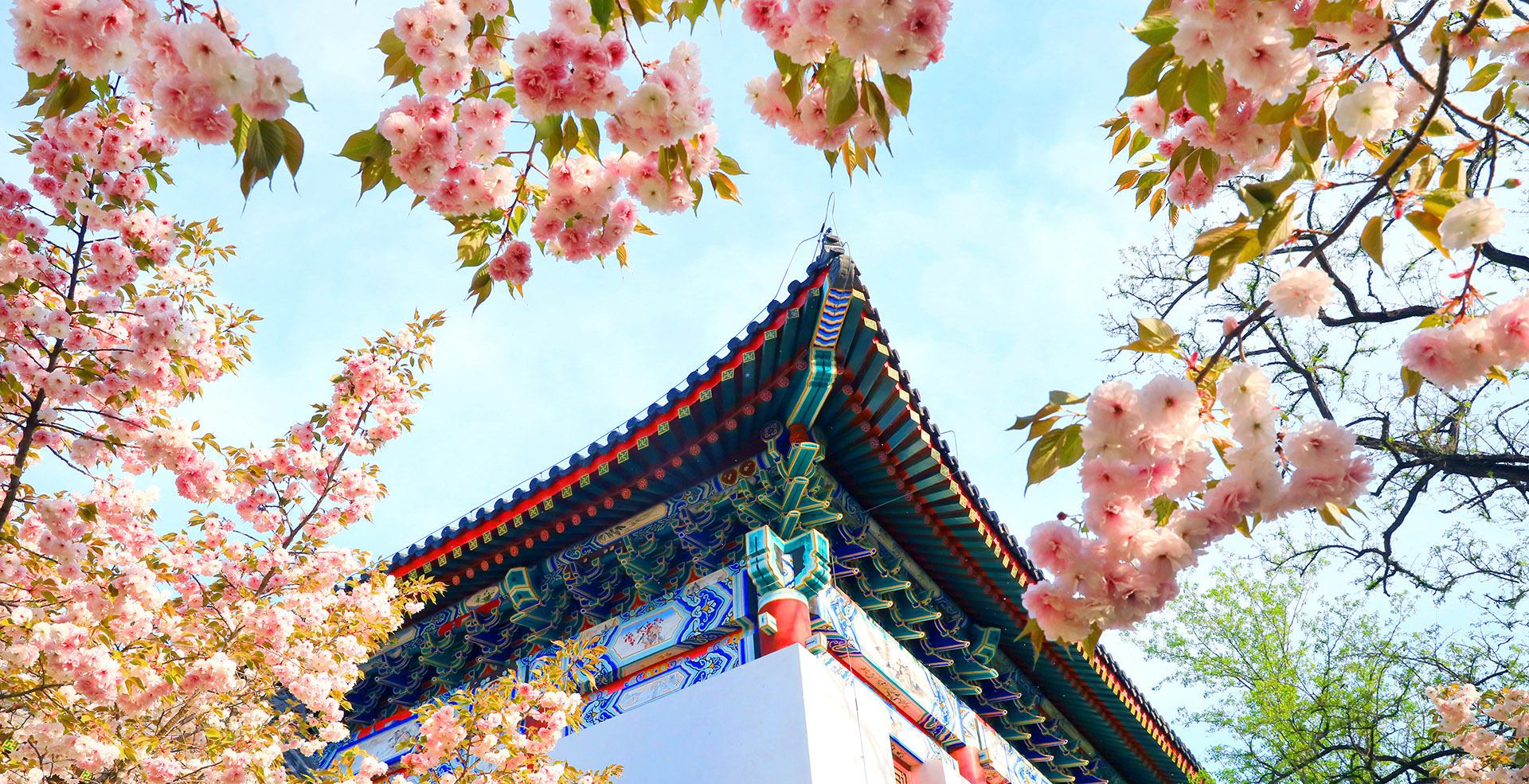 中国·BB贝博艾弗森(股份)有限公司-官方网站