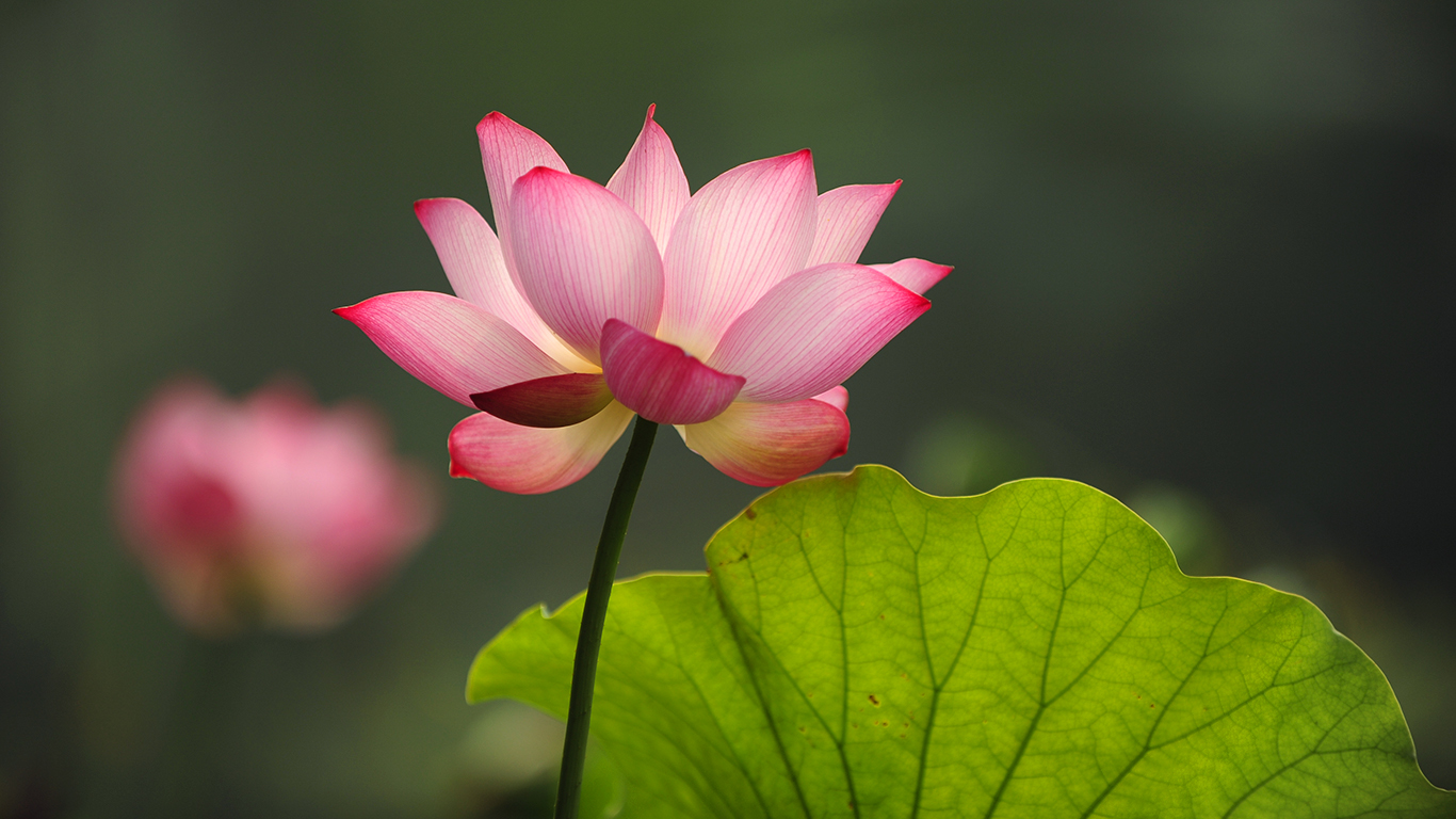 中国·BB贝博艾弗森(股份)有限公司-官方网站