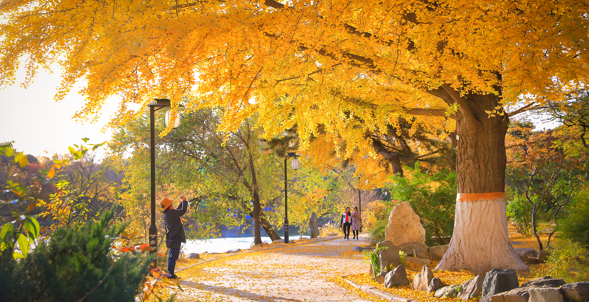 中国·BB贝博艾弗森(股份)有限公司-官方网站