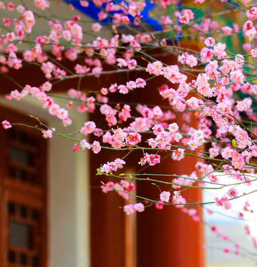 中国·BB贝博艾弗森(股份)有限公司-官方网站