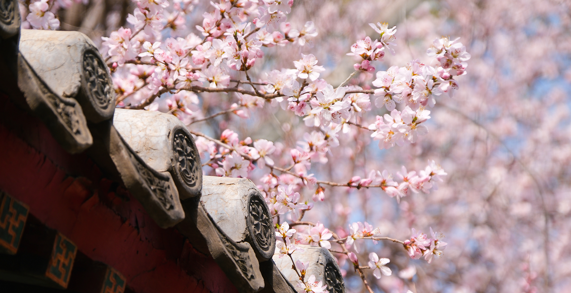 中国·BB贝博艾弗森(股份)有限公司-官方网站