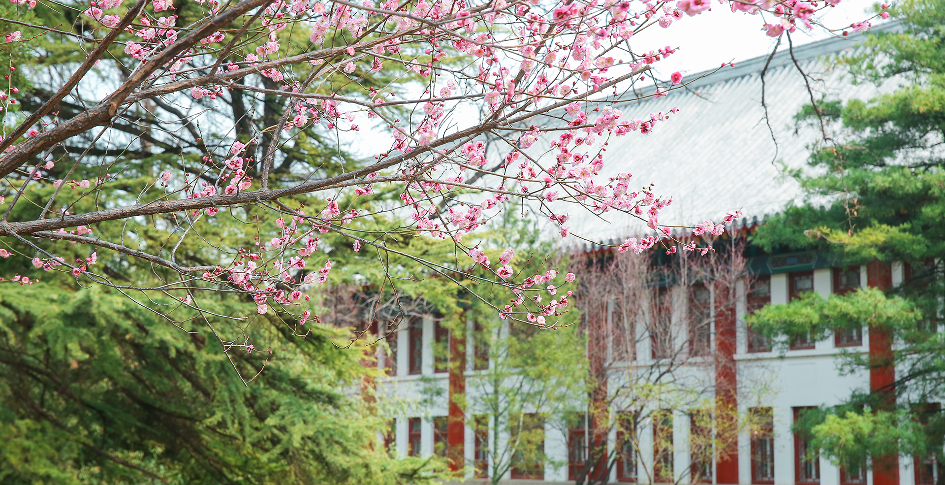 中国·BB贝博艾弗森(股份)有限公司-官方网站