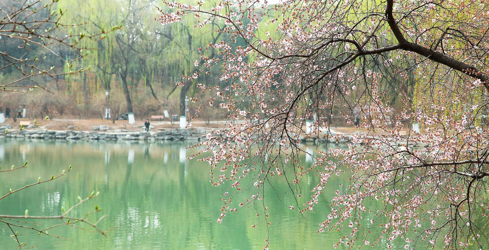 中国·BB贝博艾弗森(股份)有限公司-官方网站