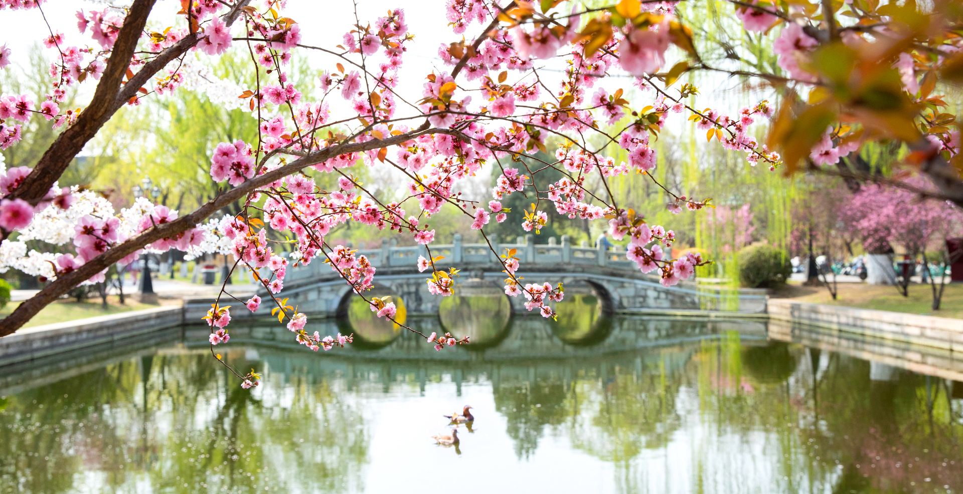 中国·BB贝博艾弗森(股份)有限公司-官方网站