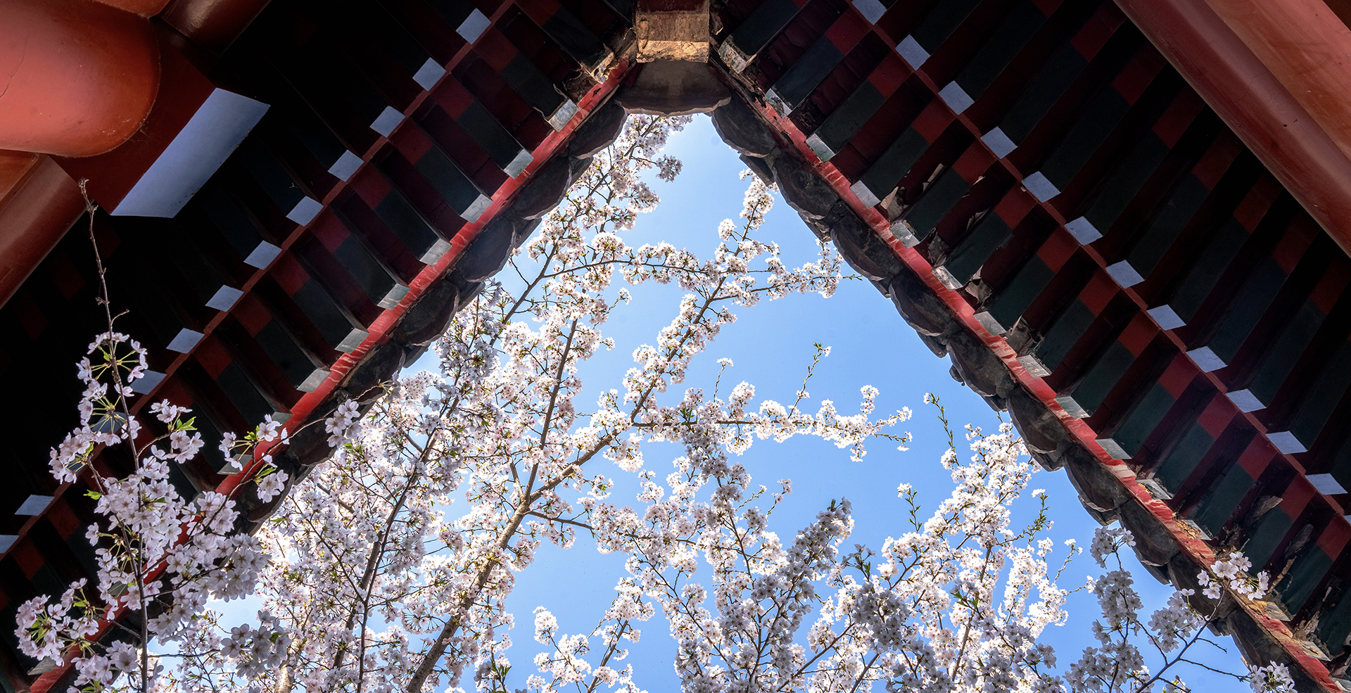 中国·BB贝博艾弗森(股份)有限公司-官方网站