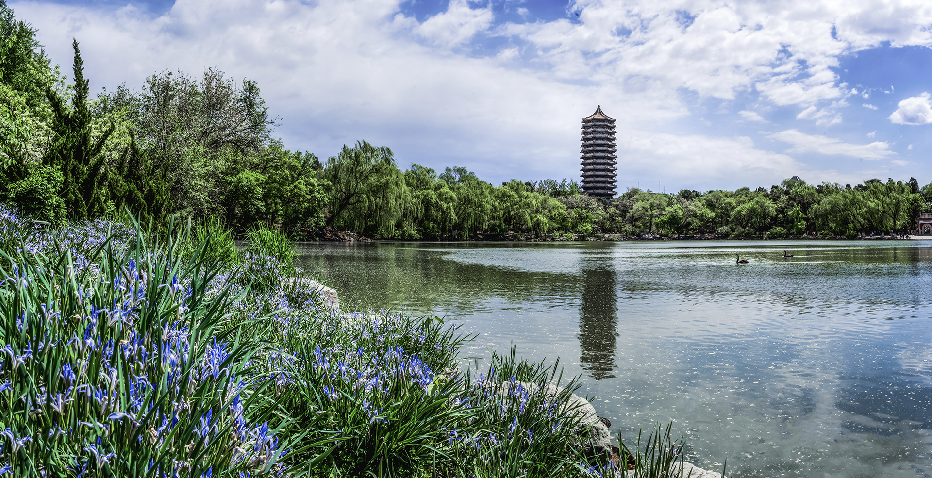 中国·BB贝博艾弗森(股份)有限公司-官方网站