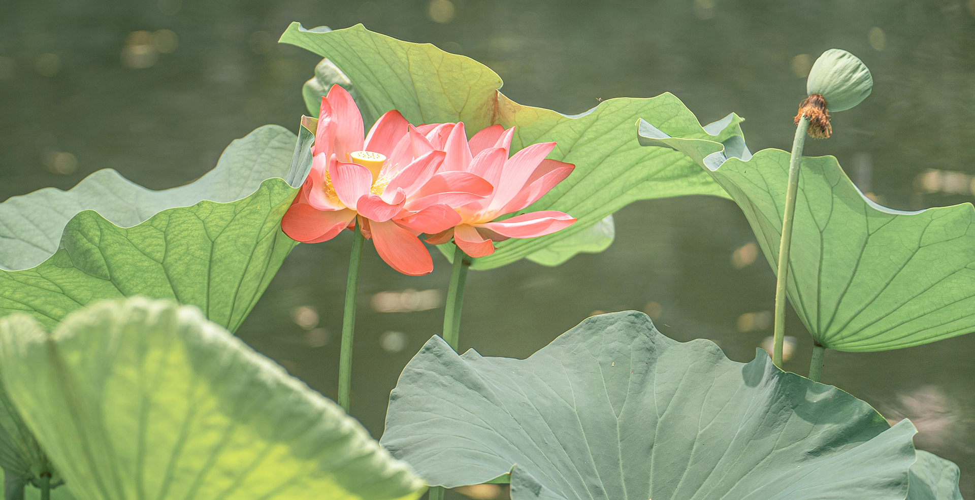 中国·BB贝博艾弗森(股份)有限公司-官方网站