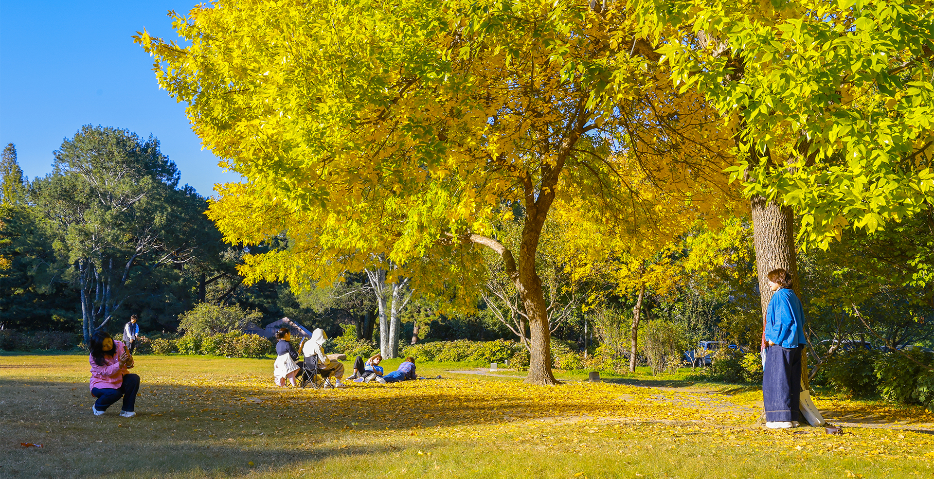 中国·BB贝博艾弗森(股份)有限公司-官方网站
